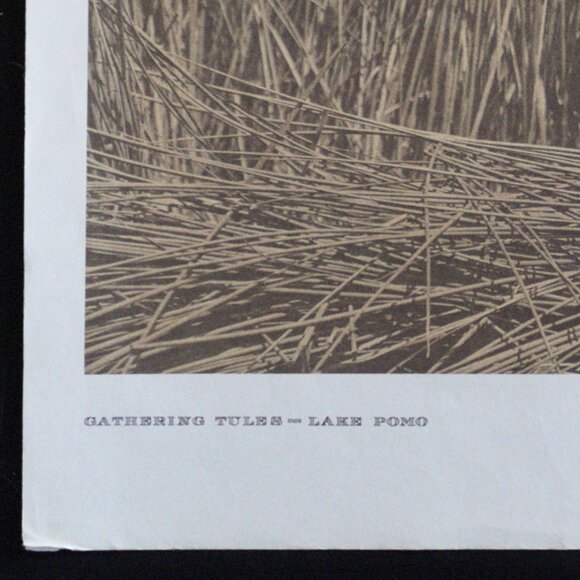 GATHERING TULES - LAKE POMO #150 Edward Sheriff Curtis Print - Picture 13 of 16